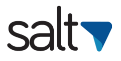 logo-Salt-01