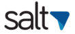 logo-Salt